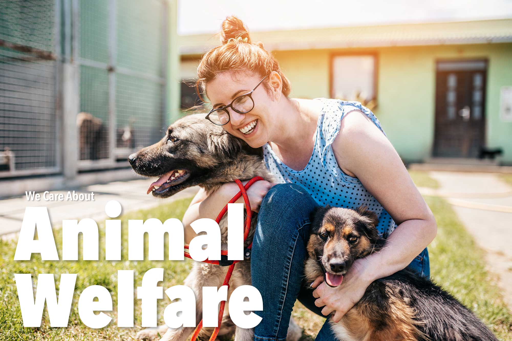 Smiling woman with two happy dogs outside of a shelter